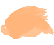 20865